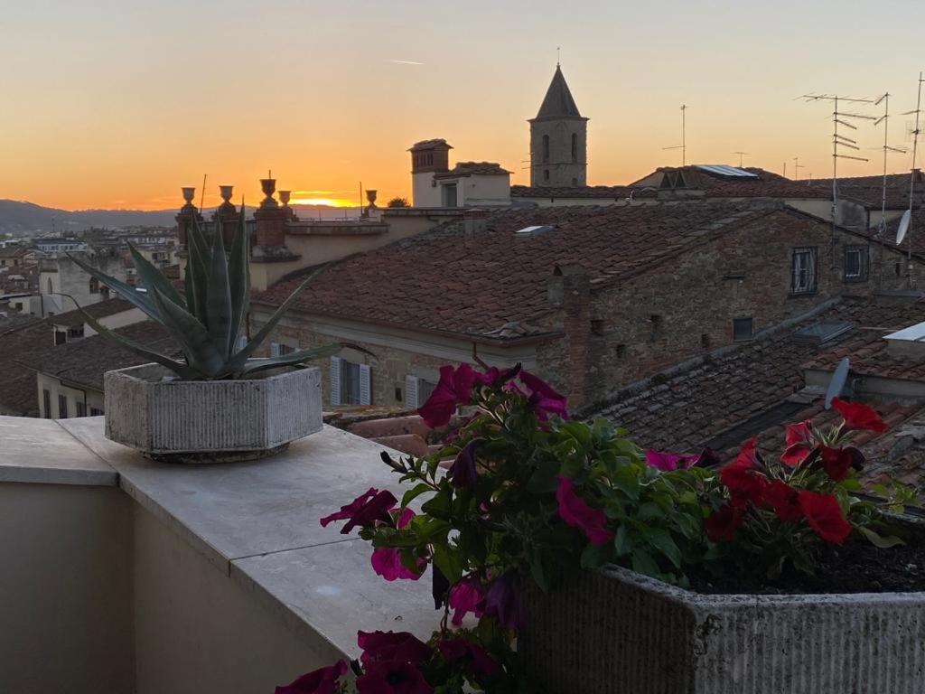 Attico Altucci Apartment Arezzo Exterior photo